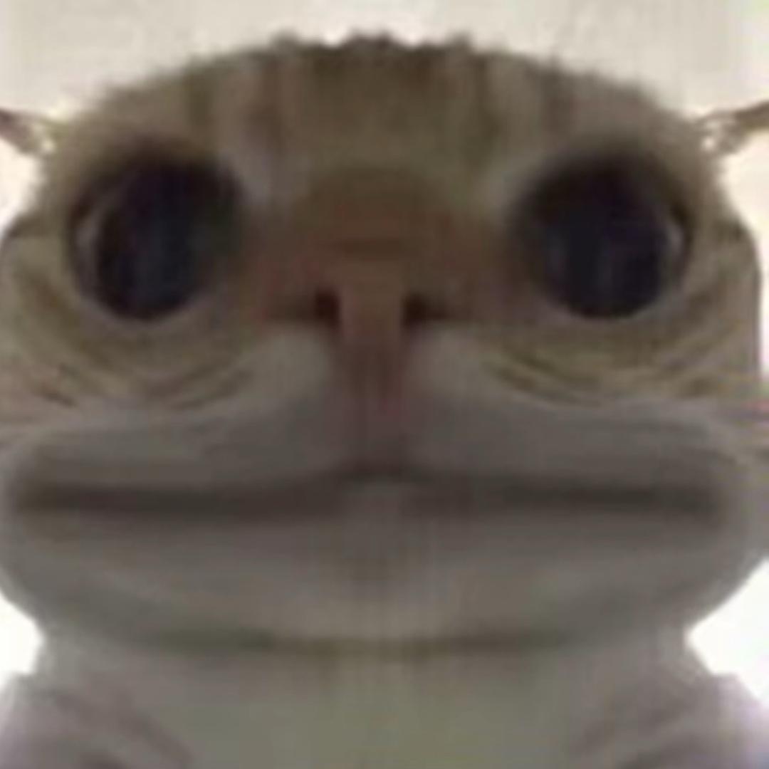 🔆