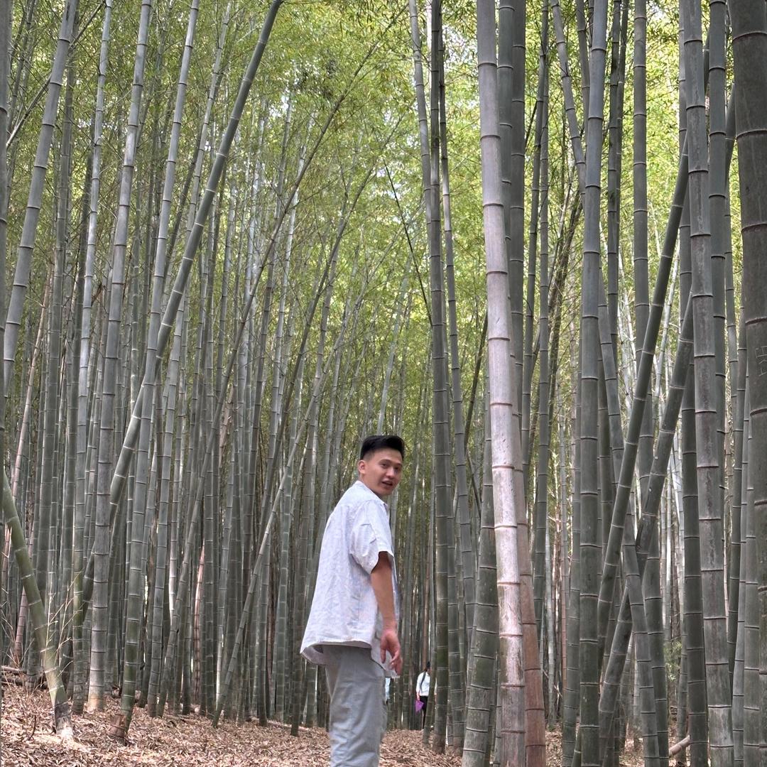 睡觉的袜子