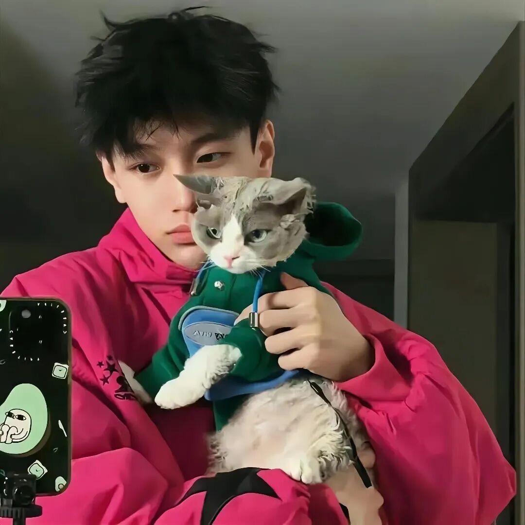 奥德乌木威尔微恩耶尔吐温威乌温穆本欧萨斯