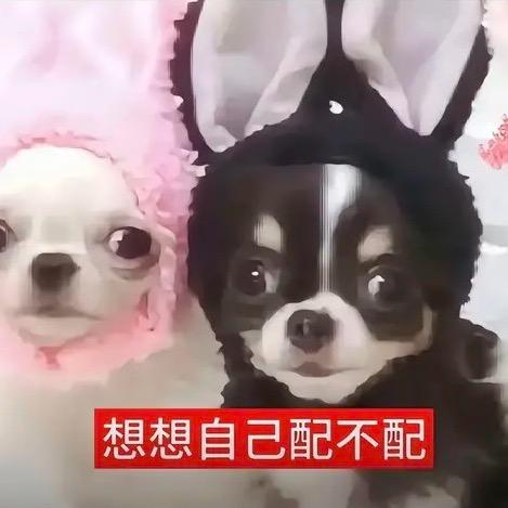 我女朋友最漂亮