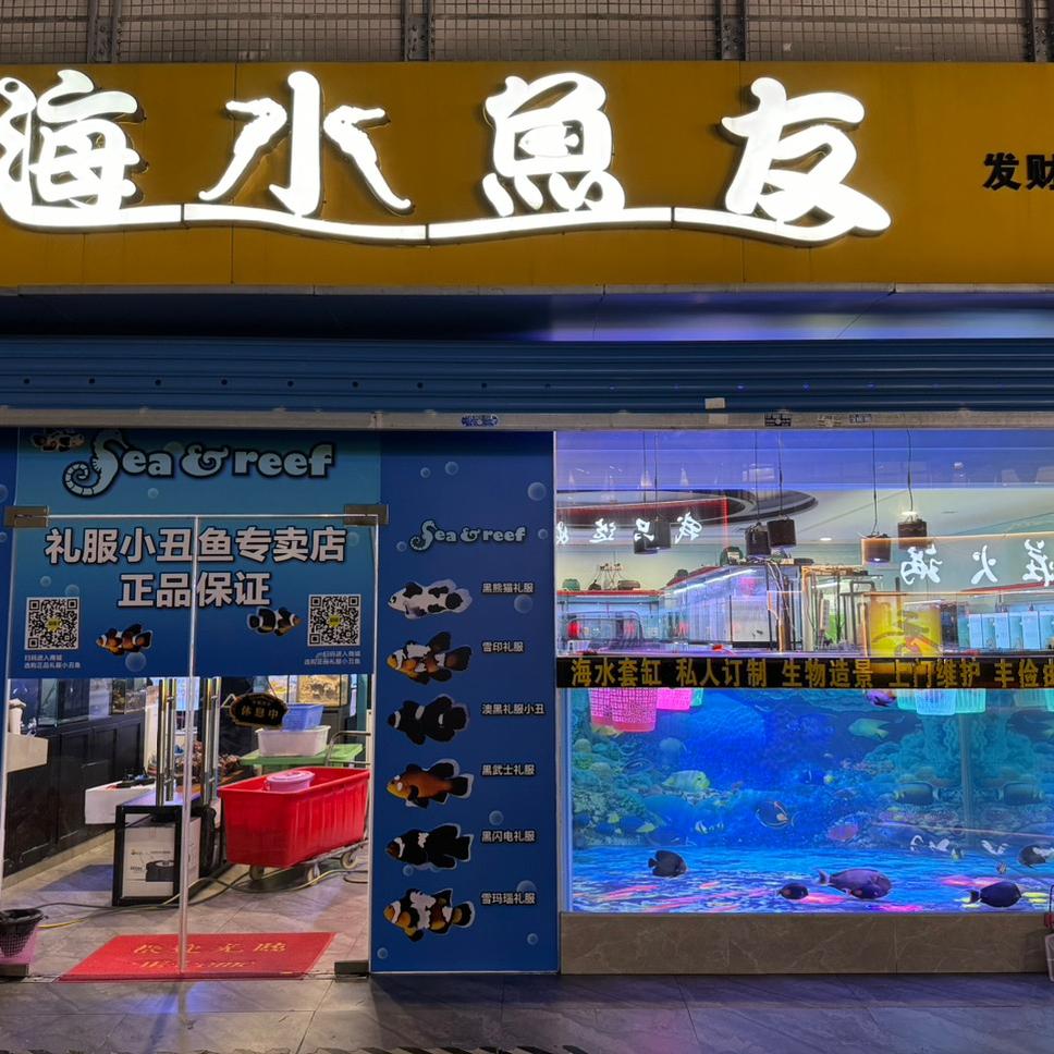 佛山海水鱼友