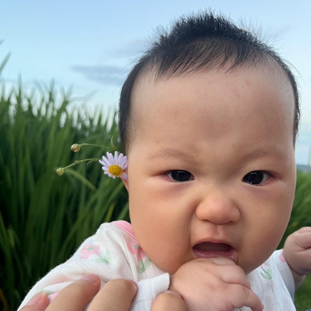 风沙