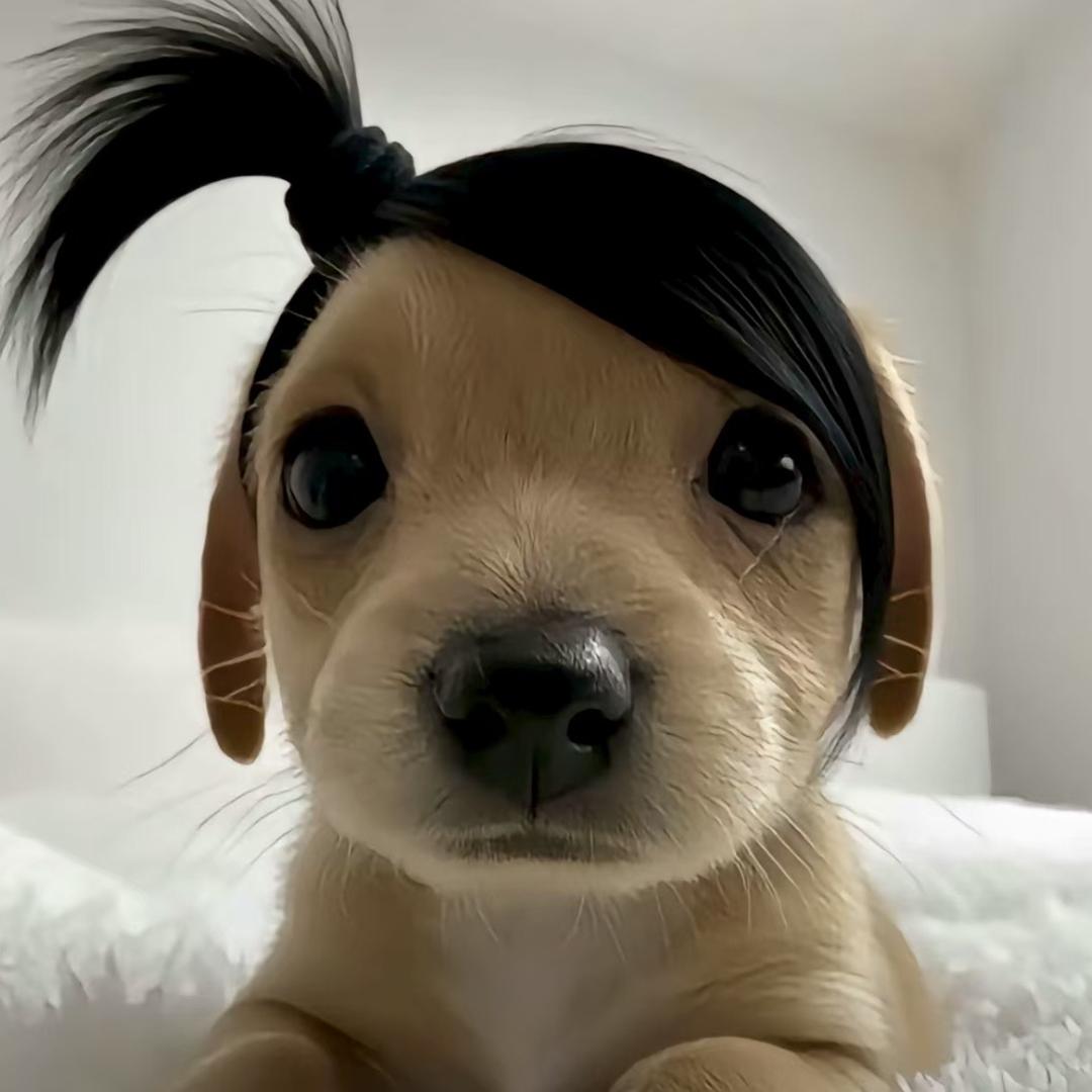 十