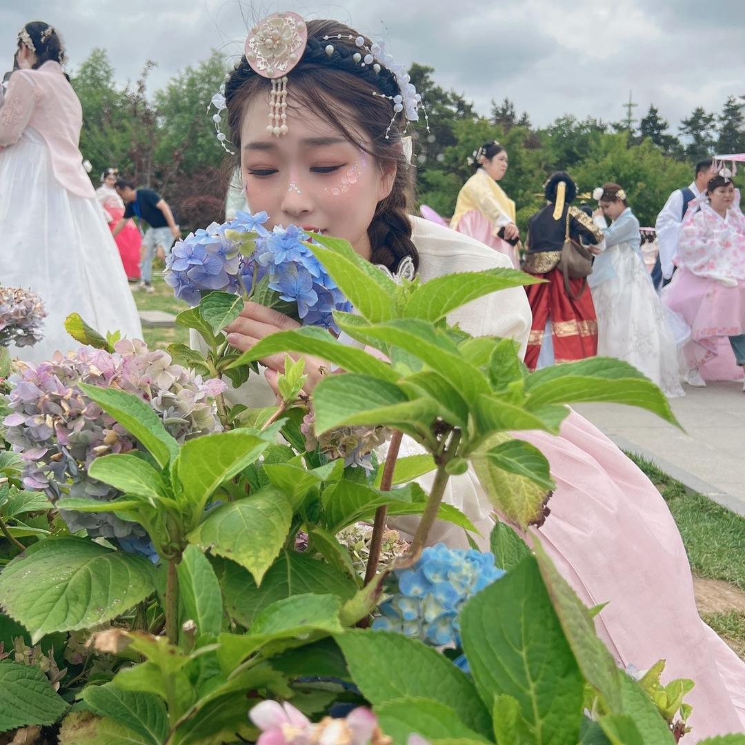 摸鱼的提拉米苏