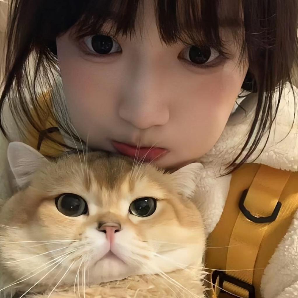 坤崽