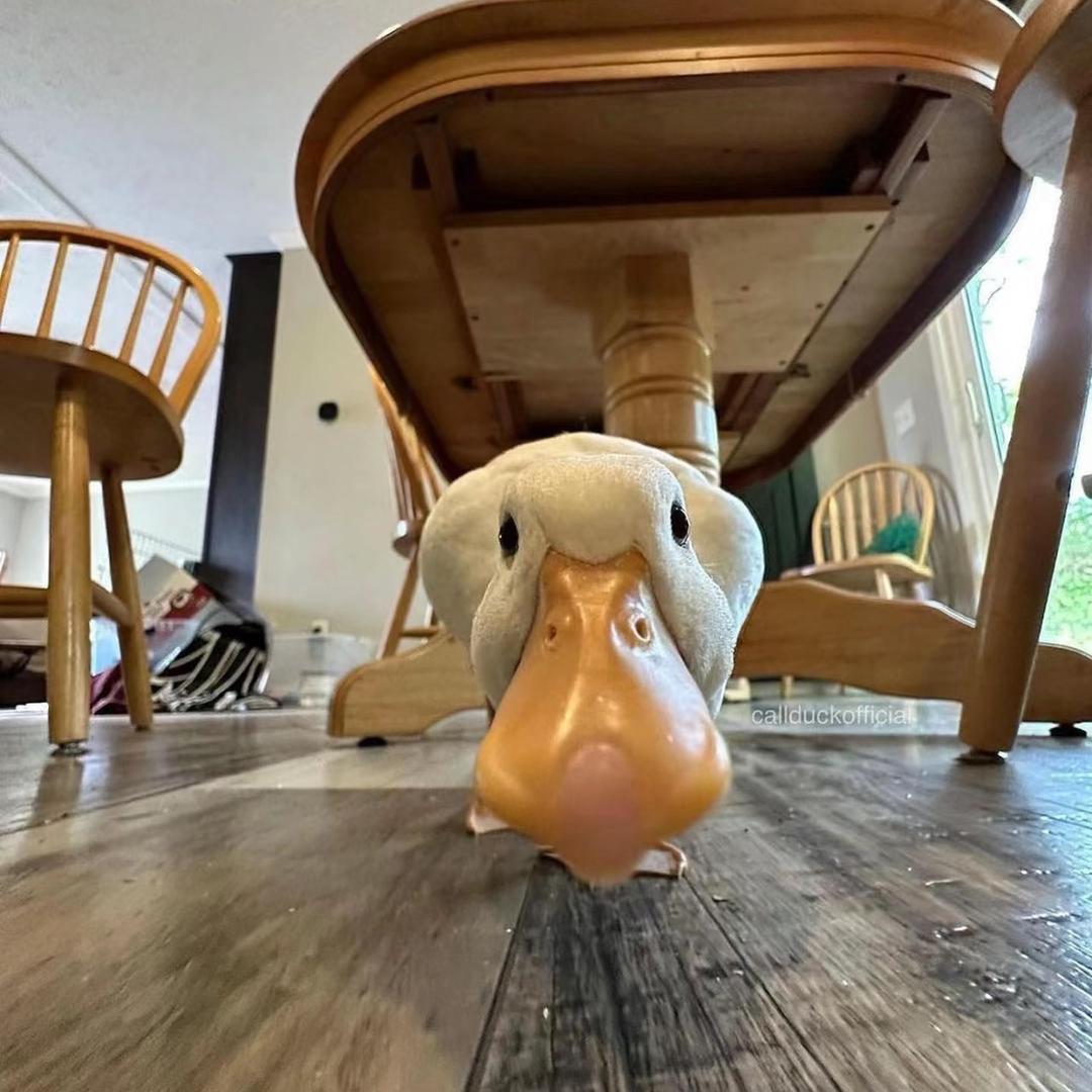 弹弹弹【心悦引擎】