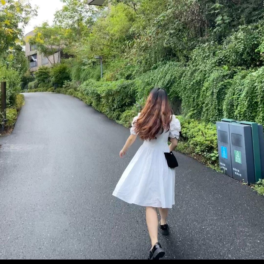 芹菜饺