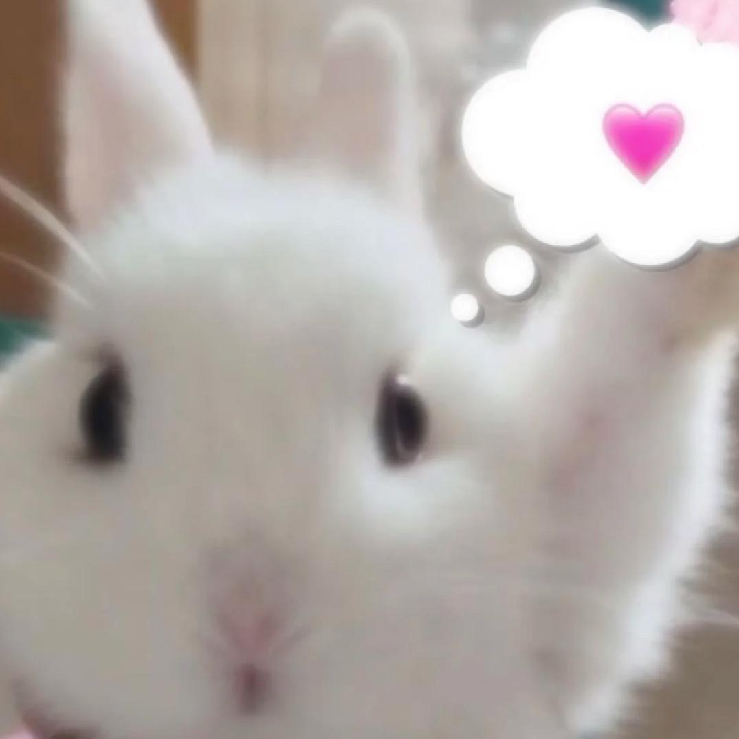 高冷鼻涕虫