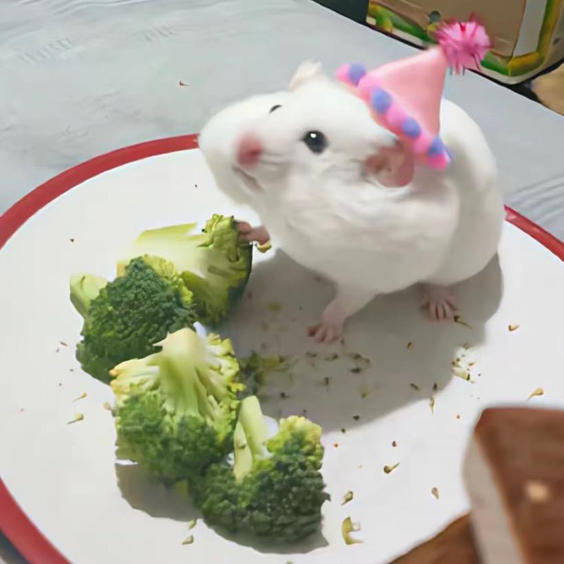 鱼崽（接捏脸）