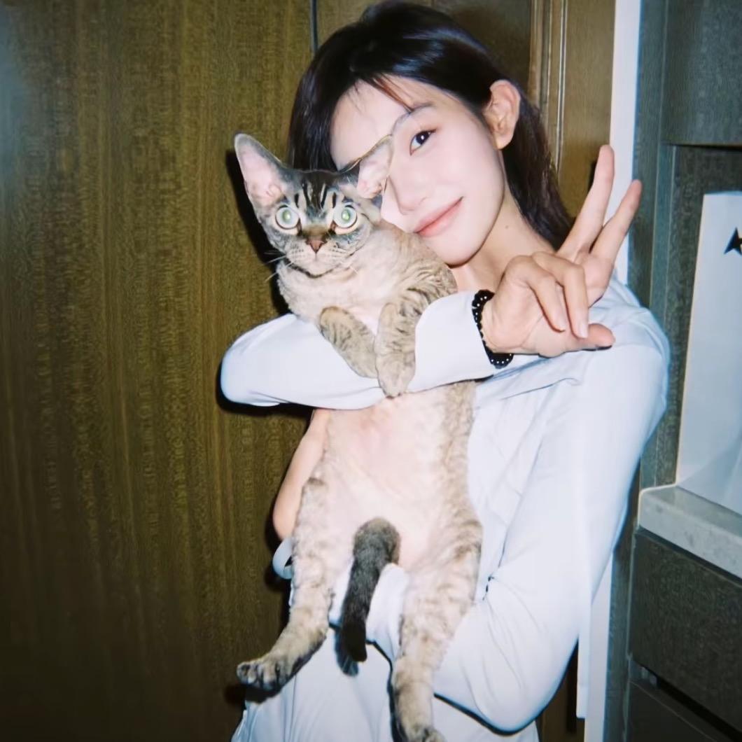 不爱吃香菜