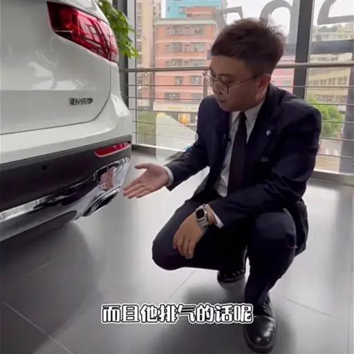 岚图知音|麦老师