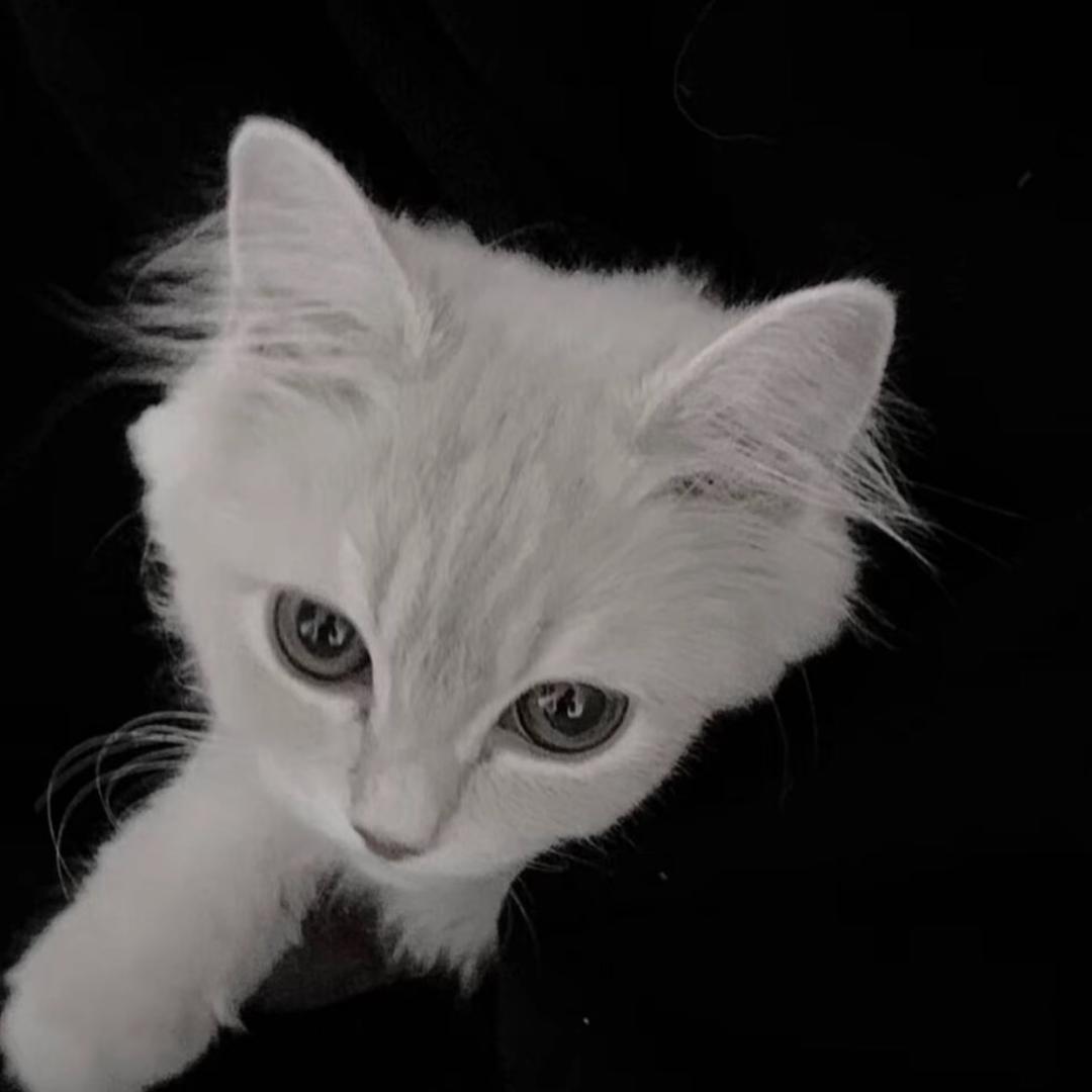 我就是有病让让我怎么了