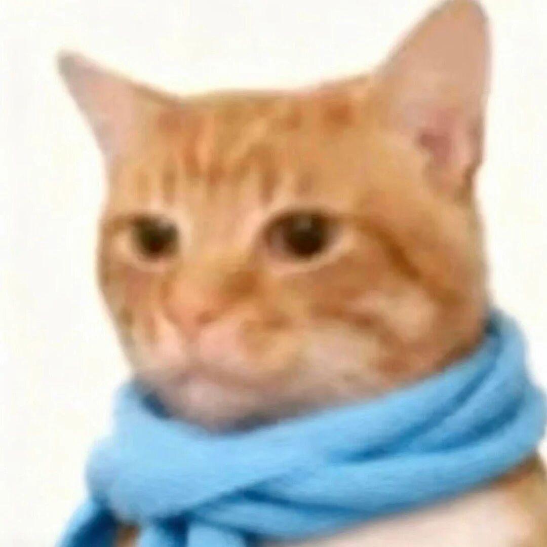 邓邓等等