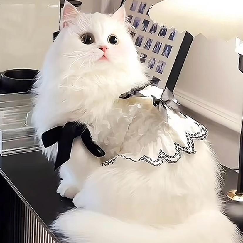 人的悲喜并不相通