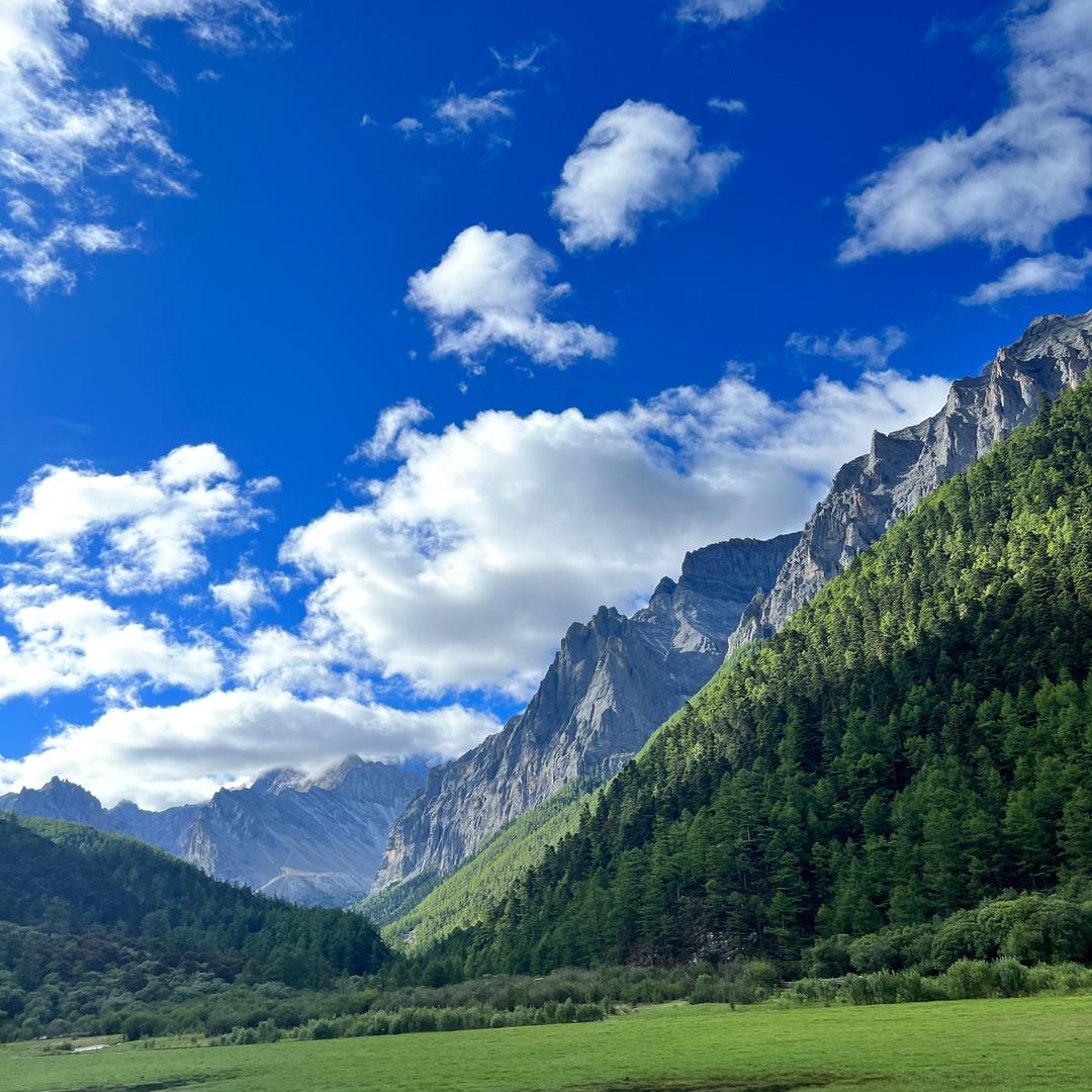 特莉娜官方旗舰店