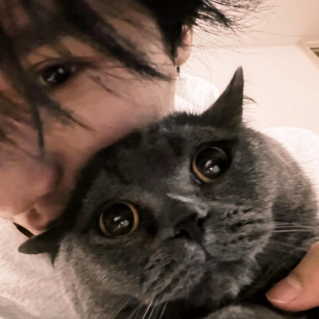 云麒麒(៸៸᳐⦁⩊⦁៸៸᳐ )੭