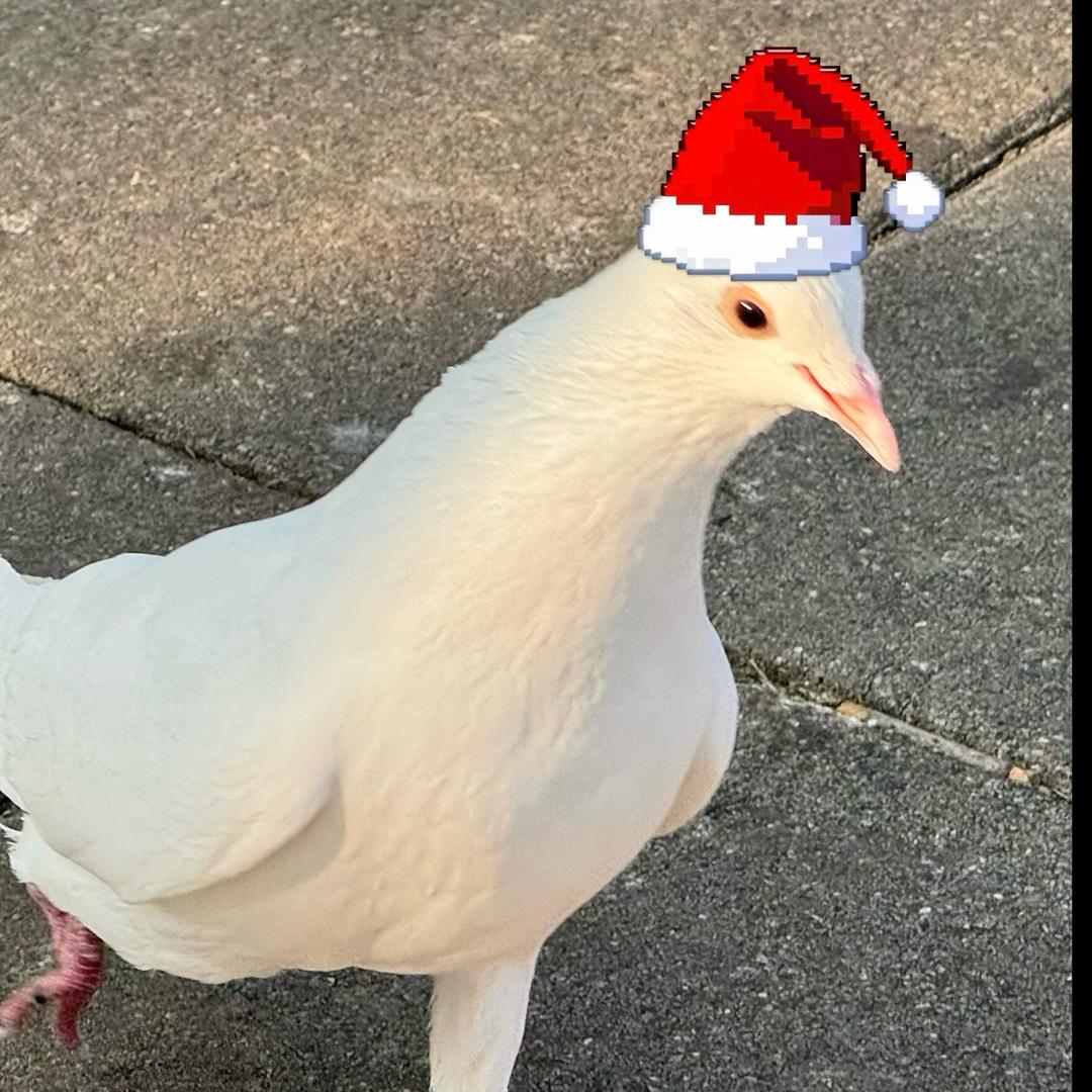 Fin