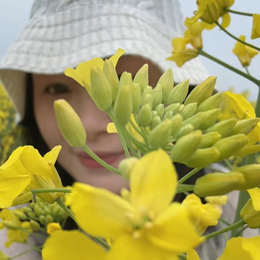 窦豆豆