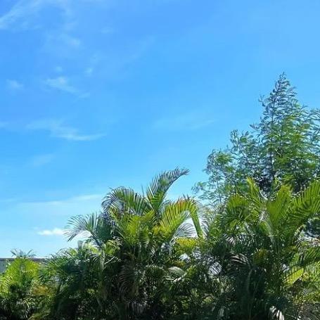 深圳水贝