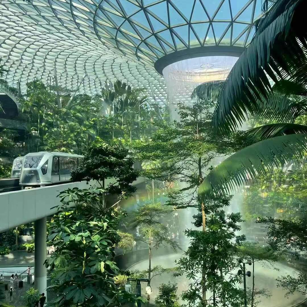 太行大玩家（包机 旅游专列专家）