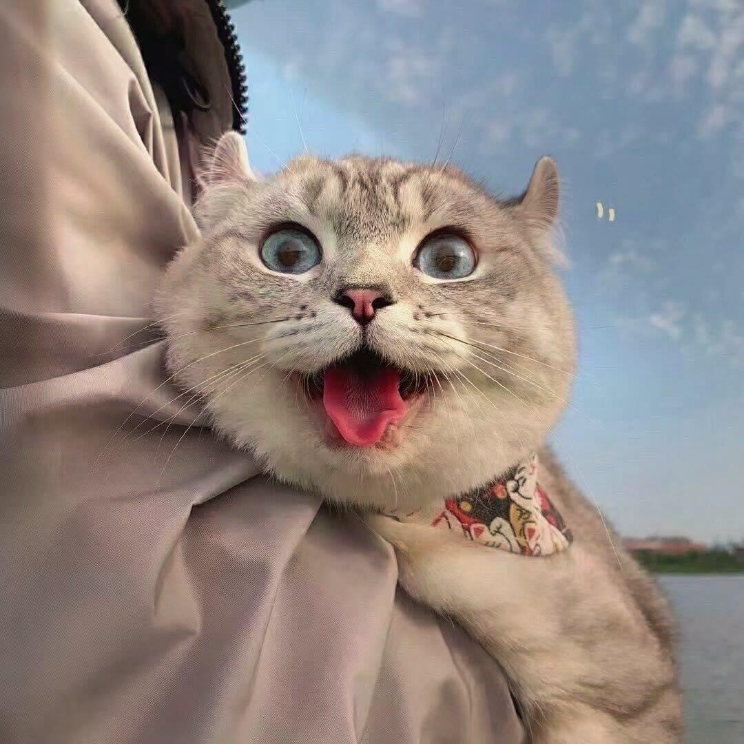 老方🍁