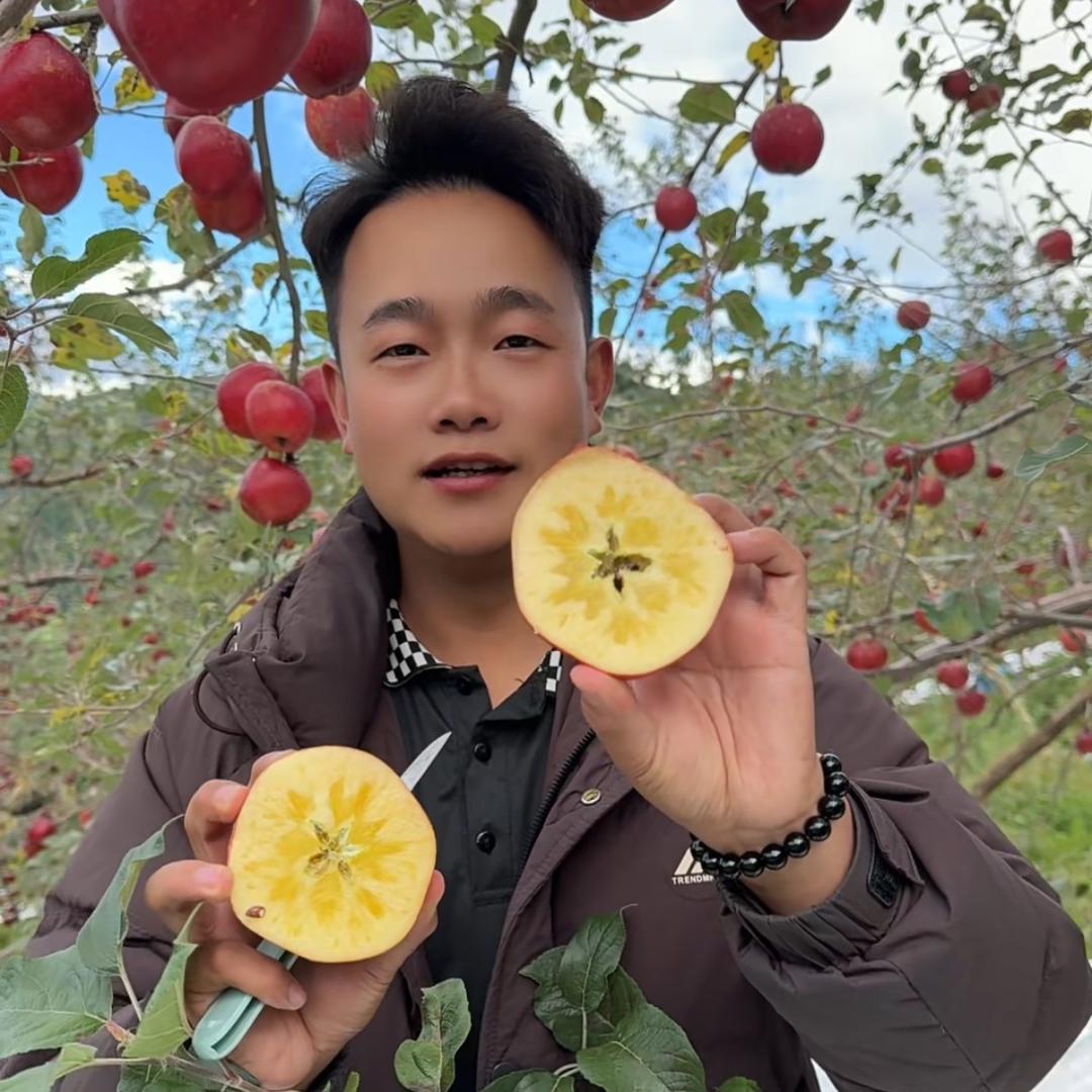 大凉山段先森