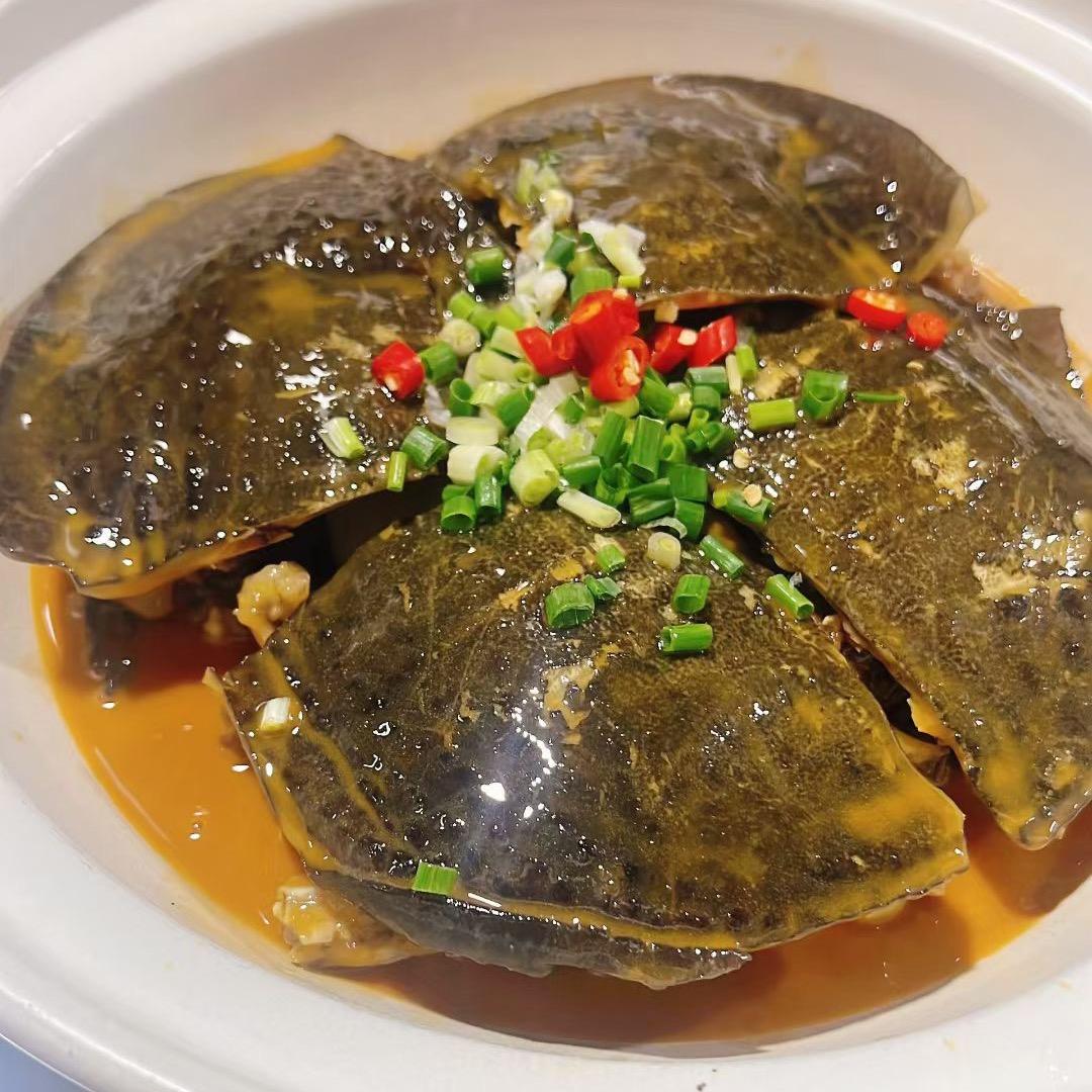 走马柴火鸭燕子姐姐