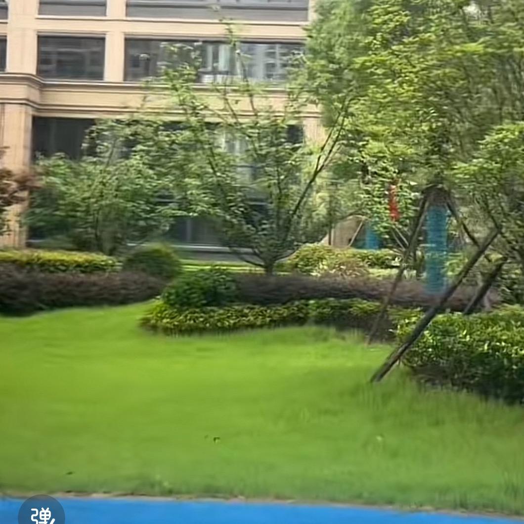 小小吴