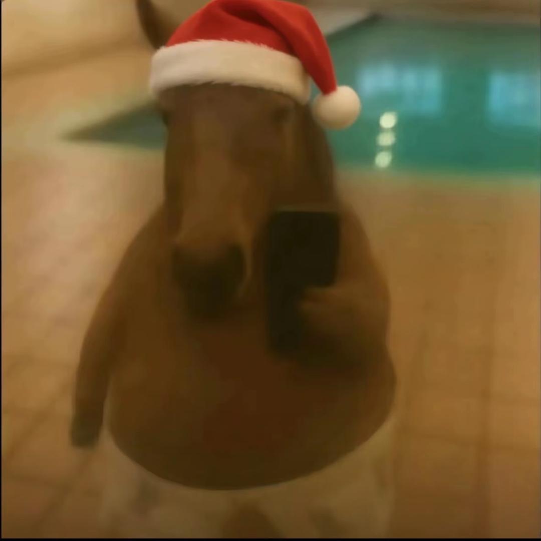 天涯过客.🍂（Alucard）