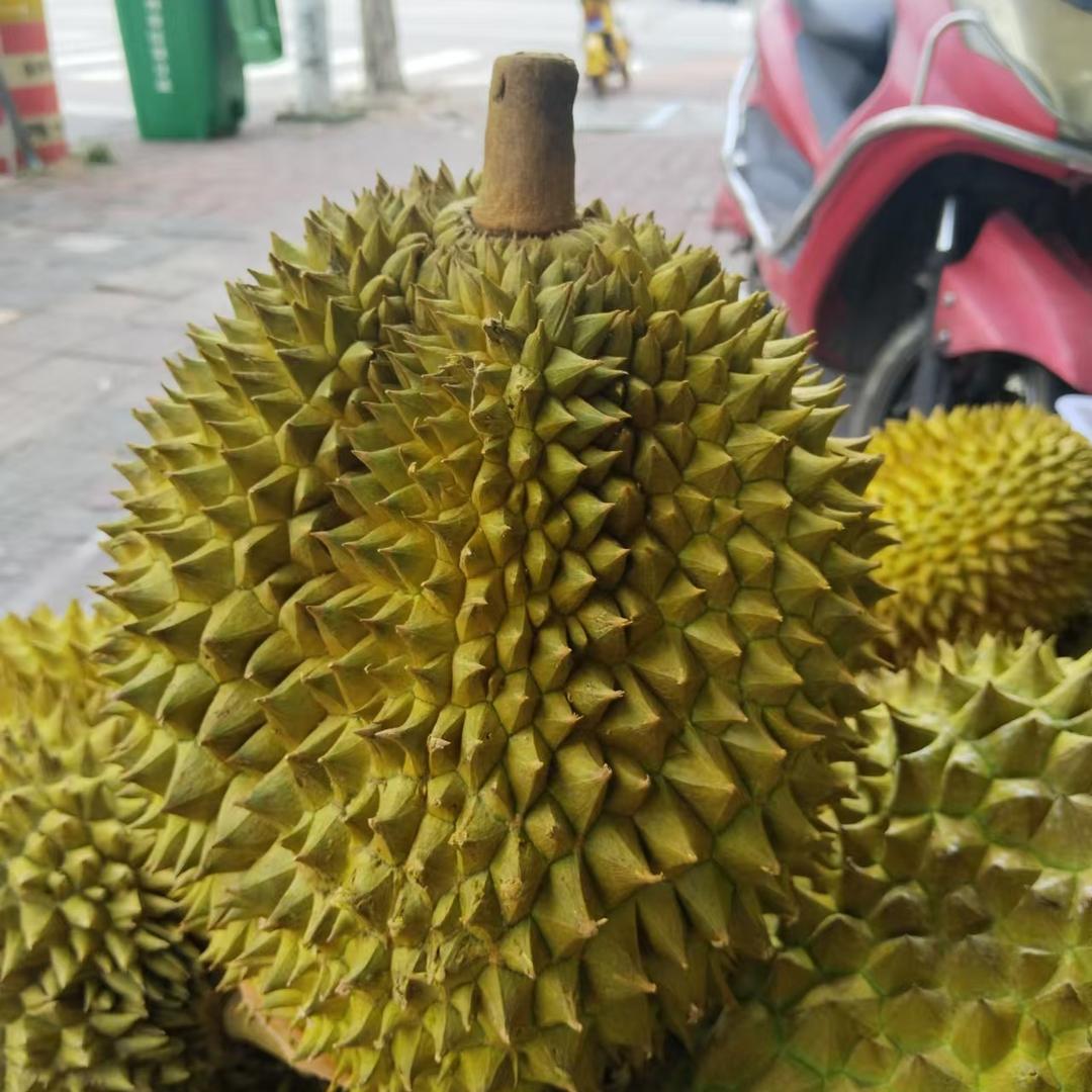榴莲小胖1