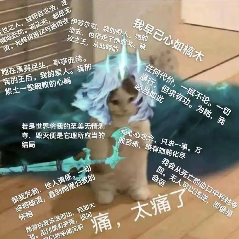 秋小猪