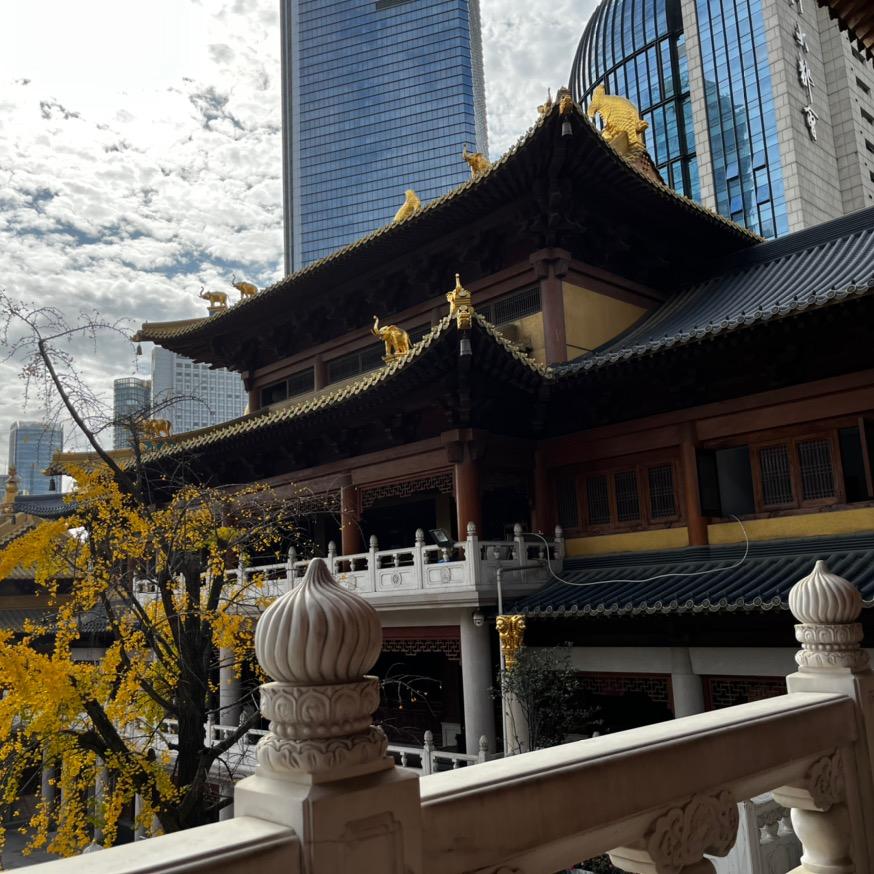 Old 麦