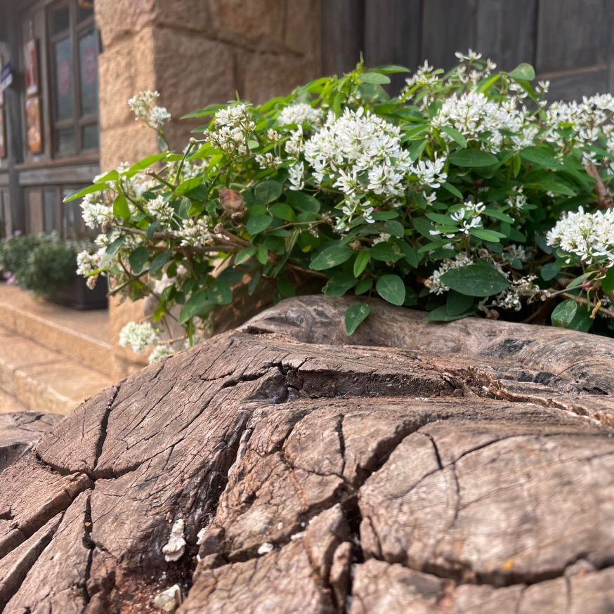 @热爱搬砖的miss Yang