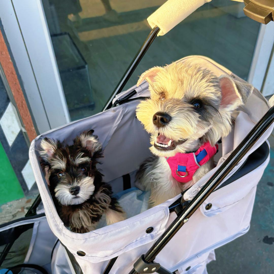 六六大顺主理人🤵🏻‍♀️