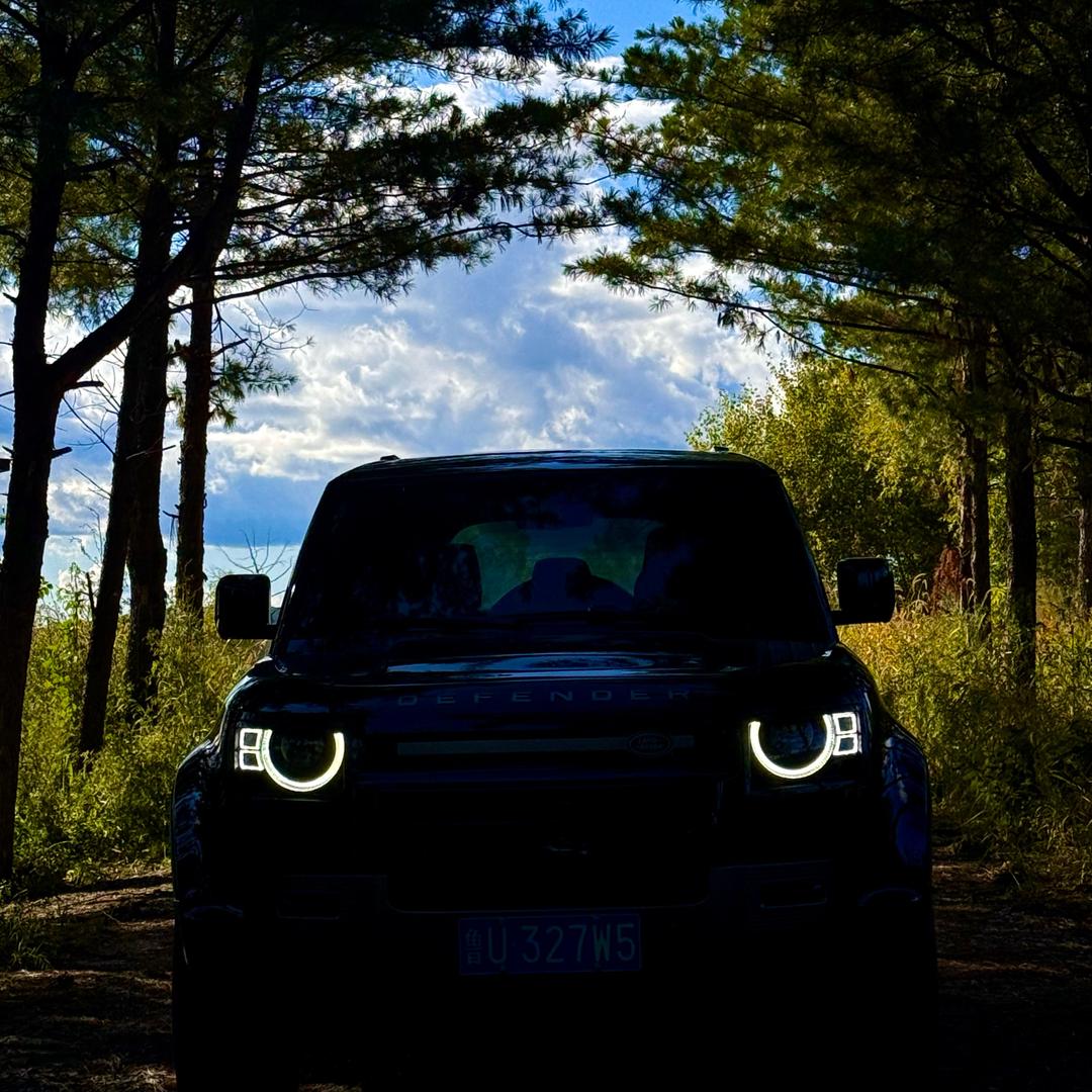 @爱钓鱼的雨🎣