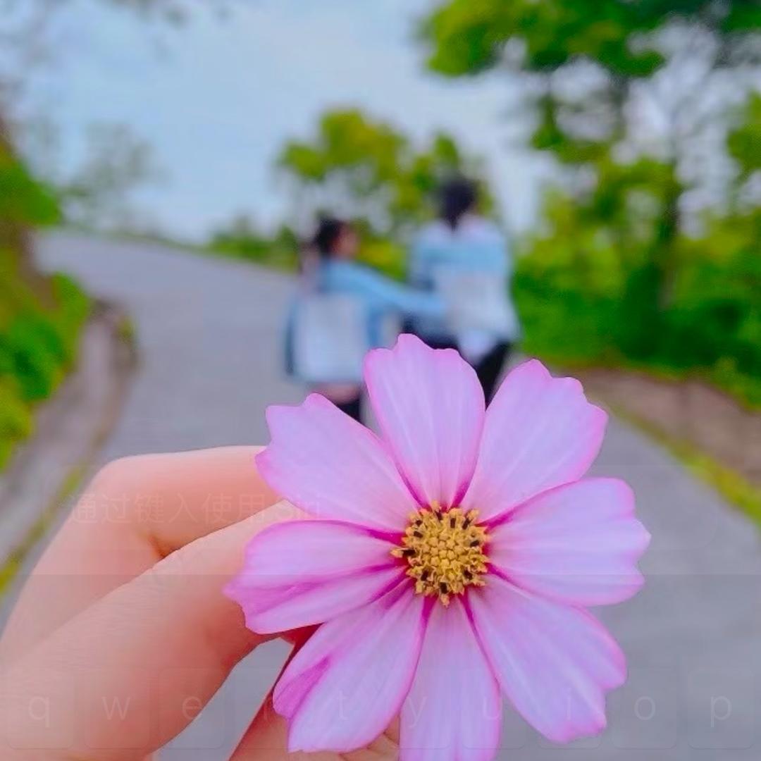 哦剧哦刚才听到