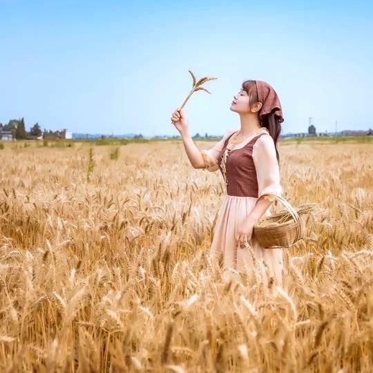 苗沃芸乐收农资厂家直供