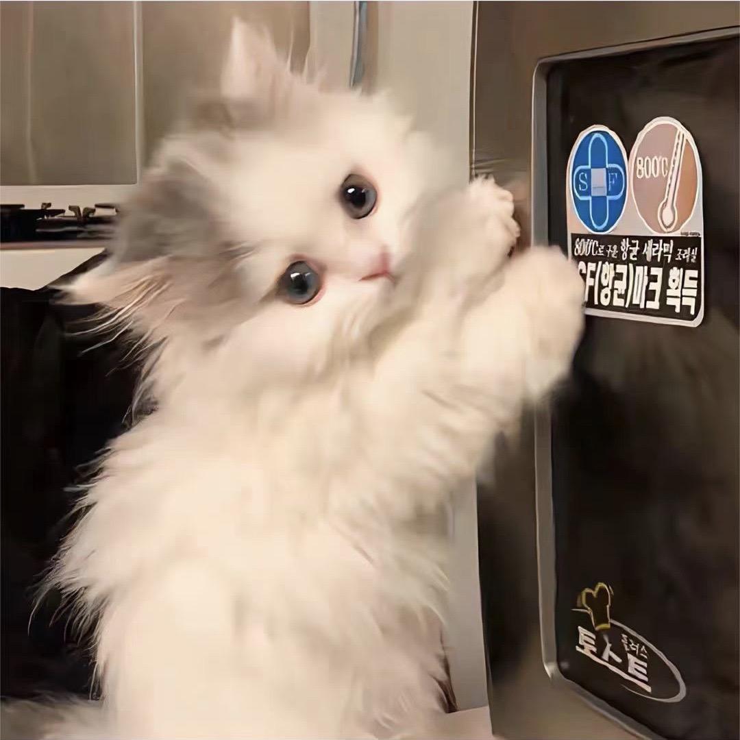 Dudu