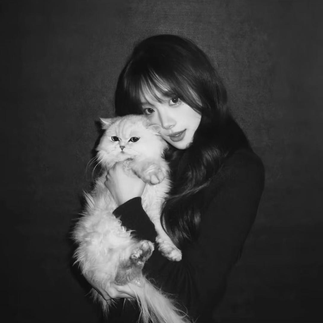 Kitty不说hello