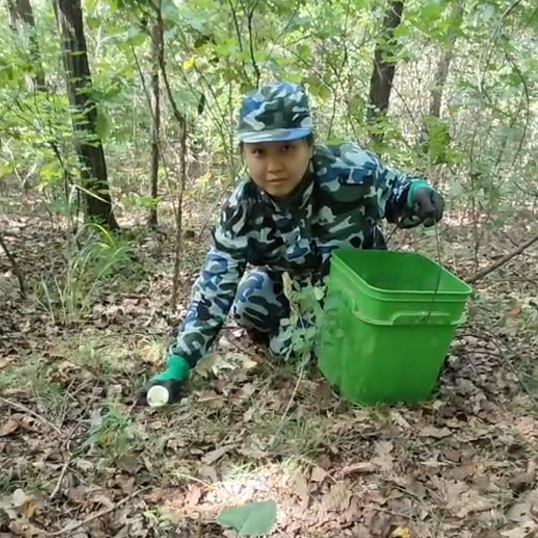 黑龙江小玉山货土特产