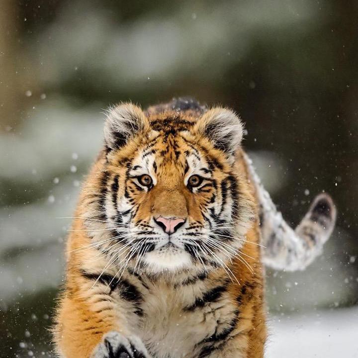 孟凡秋(长春89.3)