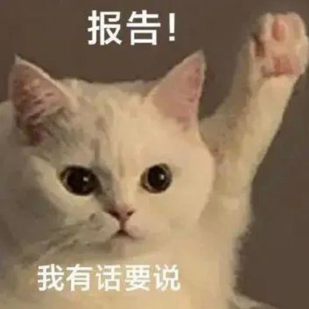 逆袭女王的陈晨头像