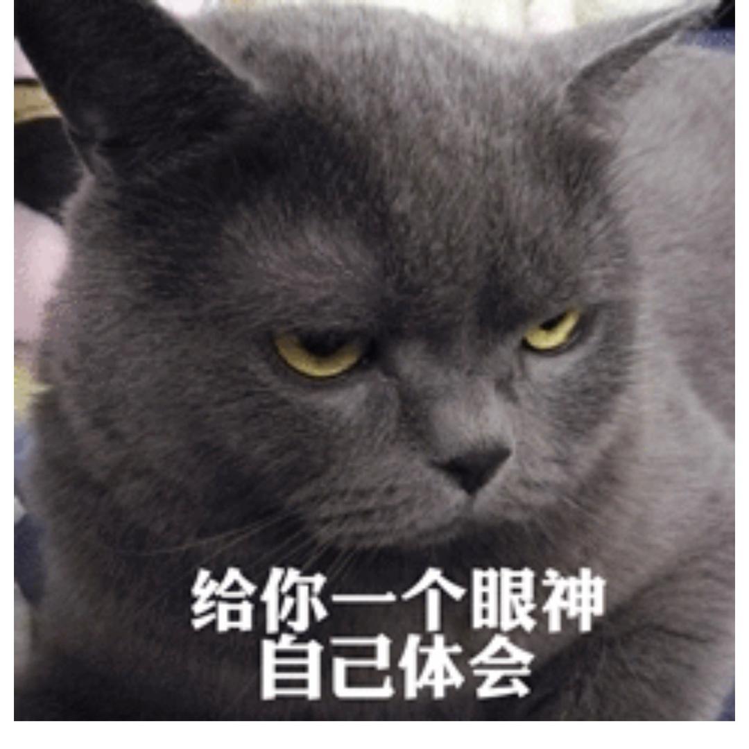 ℳঞ小事一庄💕 ❧🐷