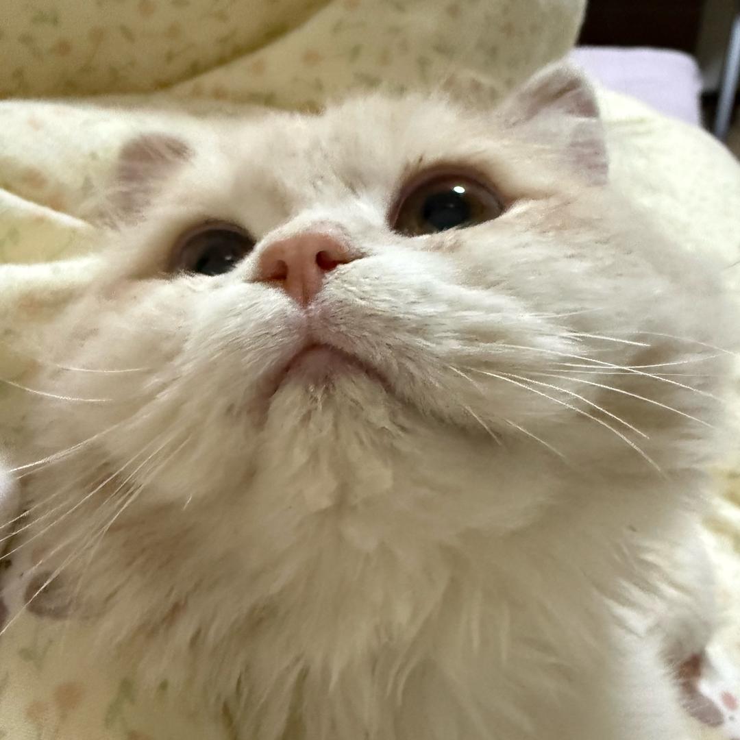 点点日记