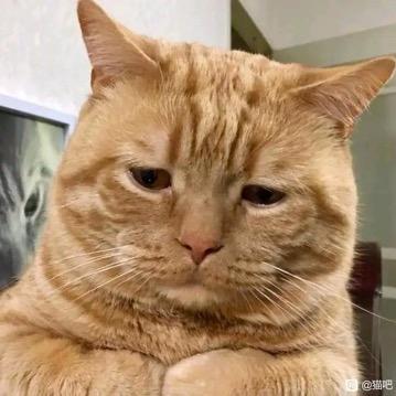 克里斯今天吃什么