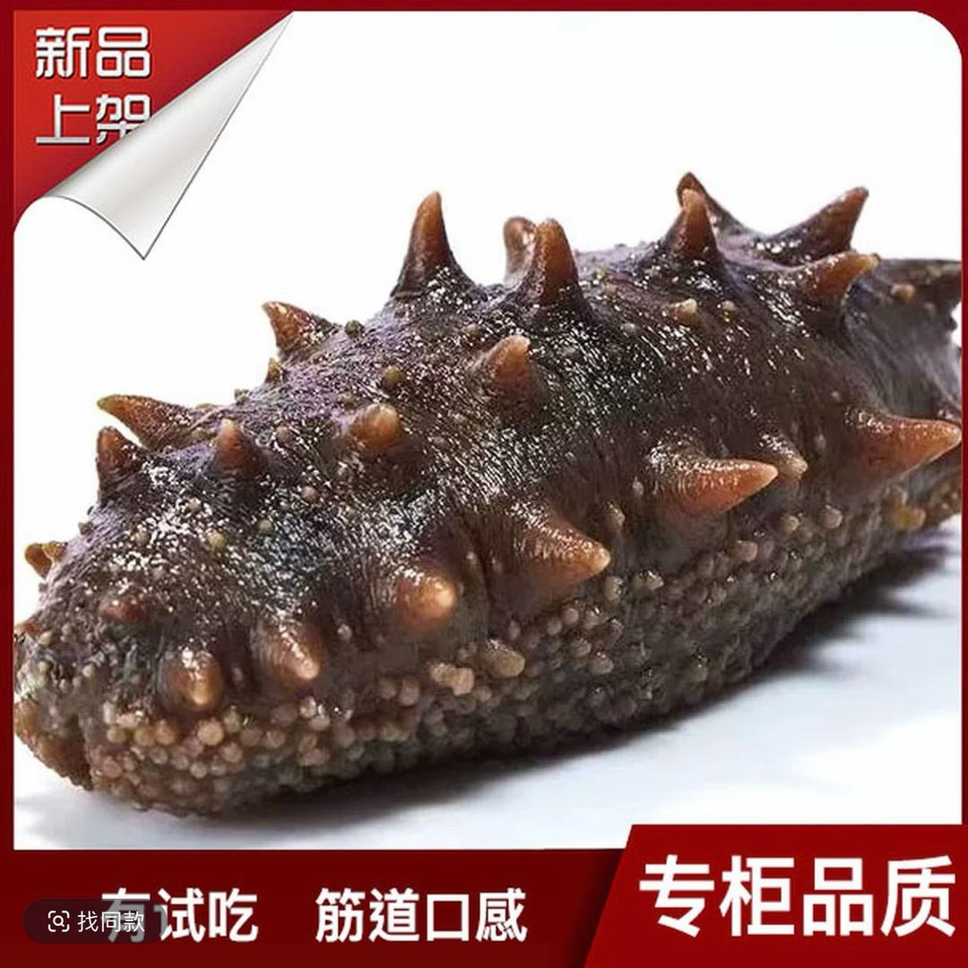 大连海悦海参