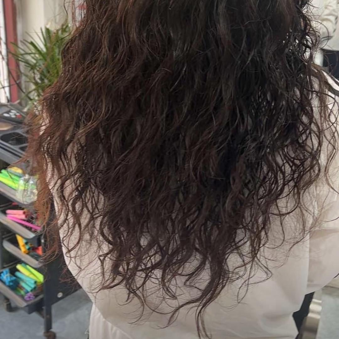 @丹丹wd