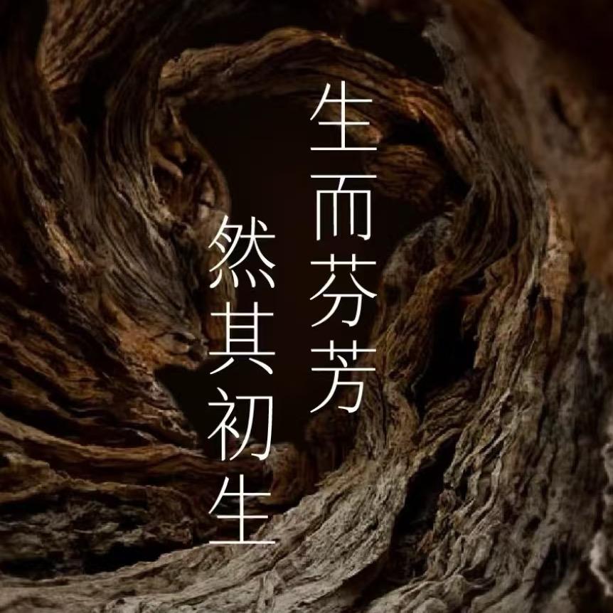 七姐沉香馆