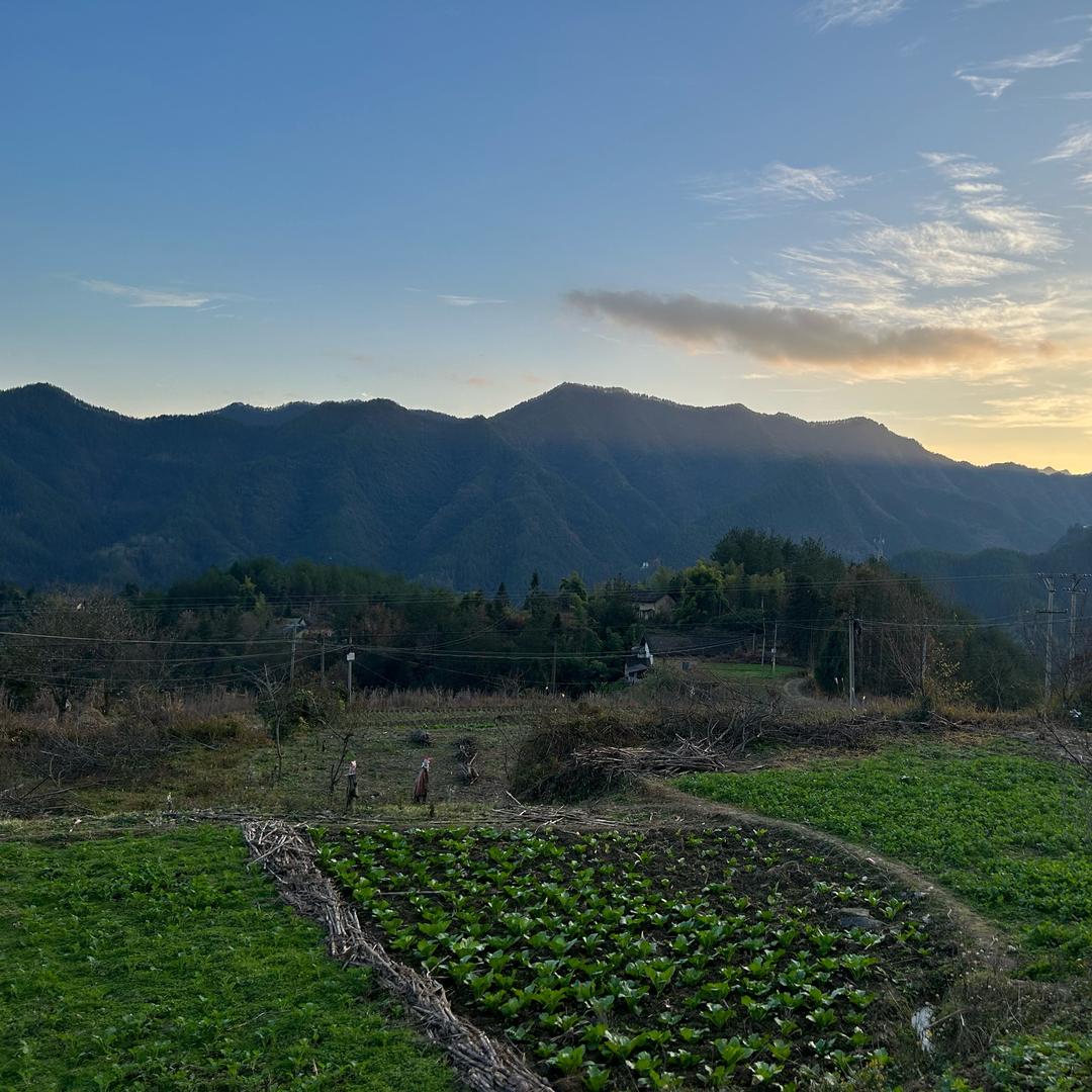 。。。。———-