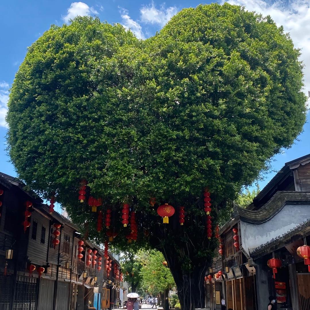 西行游记